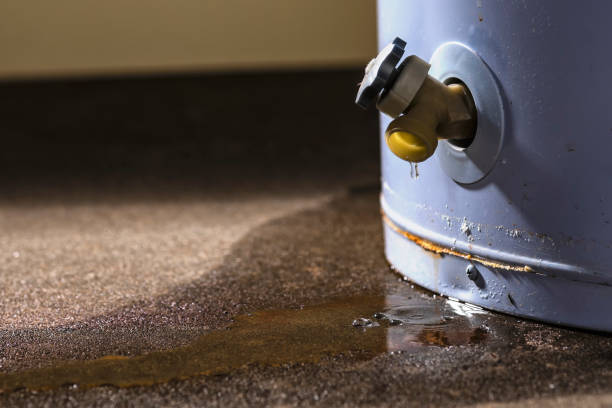 Best 24-hour water damage restoration  in Williamstown, KY