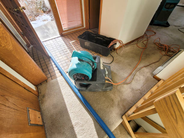 Water damage restoration experts in Williamstown, KY