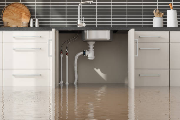 Best Emergency water damage restoration  in Williamstown, KY