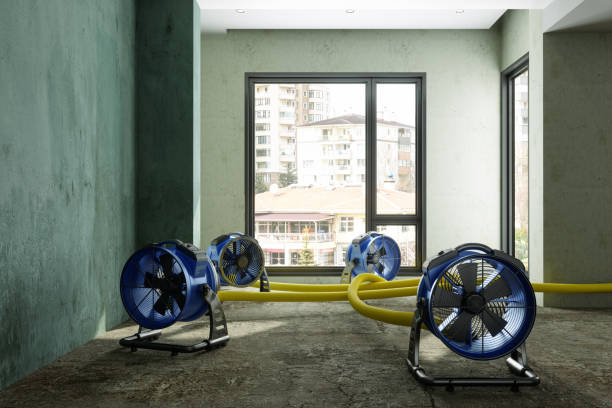 Best 24-hour water damage restoration  in Williamstown, KY